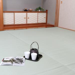 イケヒコ コーポレーション 洗える PPカーペット ファーム 江戸間8畳グリーン 約348×352cm 撥水/ござ/国産