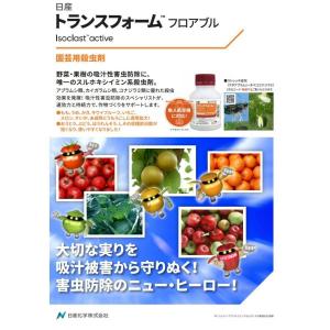 【在庫有・即納】 日産化学 トランスフォームフ...の詳細画像1