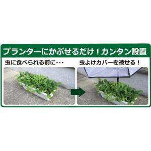 【在庫有・即納】DAIM すっぽり虫よけカバー...の詳細画像2