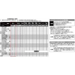 【在庫有・即納】工進 KOSHIN 蓄圧式 噴...の詳細画像2