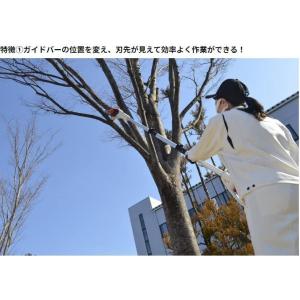 工進(KOSHIN) 18V 充電式伸縮ポール...の詳細画像2