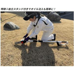 工進(KOSHIN) 18V 充電式伸縮ポール...の詳細画像3