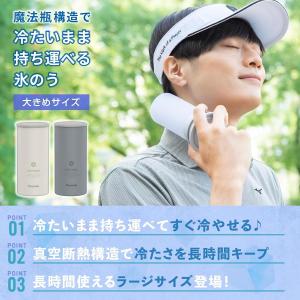 【在庫有】ピーコック アイスパック ラージ A...の詳細画像2
