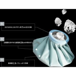 【在庫有・即納】ピーコック アイスパックスポー...の詳細画像2