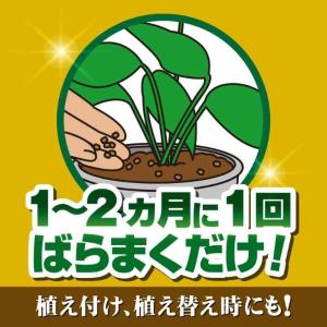 【まとめ買い】【在庫有・即納】KINCHO園芸...の詳細画像1