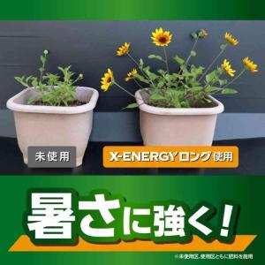 【まとめ買い】【在庫有・即納】KINCHO園芸...の詳細画像3