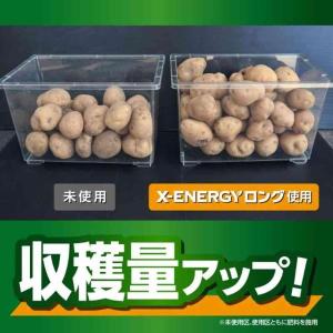 【まとめ買い】【在庫有・即納】KINCHO園芸...の詳細画像2