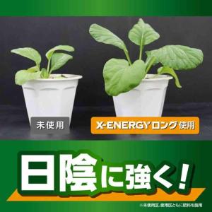 【まとめ買い】【在庫有・即納】KINCHO園芸...の詳細画像4