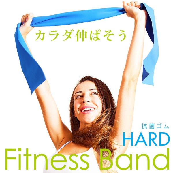 La-VIE フィットネスバンド ハード 3B-3012 フィットネス トレーニング 健康器具 癒し...