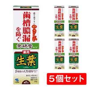 【まとめ買い】 小林製薬 生葉 しょうよう 無研磨タイプ 歯槽膿漏を防ぐ 95g×5本 セット 歯磨き粉 ハミガキ 電動歯ブラシ 歯槽膿漏 【医薬部外品】｜daiyu8