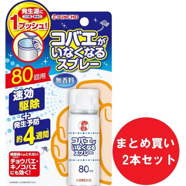 【まとめ買い】【2本セット】キンチョー コバエがいなくなるスプレー 80回用 駆除 発生予防 無香料...