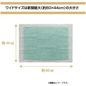 【在庫有・即納】 【まとめ買い】クリーンワン ...の詳細画像2