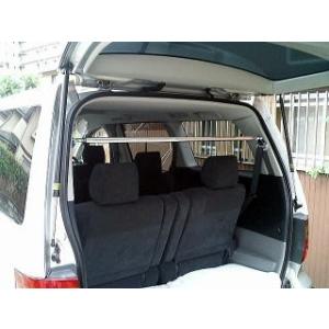 アルファード ヴェルファイア ピラーバー 30系 リアピラーバー type