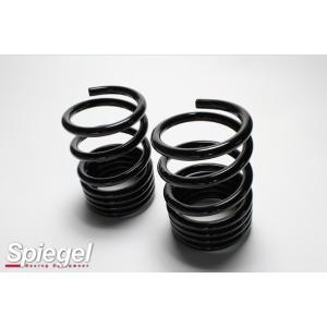 2wd H14 09 ワゴンr 車高調 車高調 4wd プロスペックワゴン Mc22s Spiegel シュピーゲル H14 09 自動車 Pns03a 1 Spiegel000 カスタムパーツ専門店 Daizen