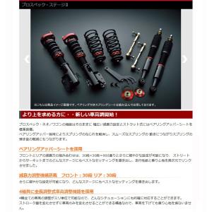 男の子向けプレゼント集結 ステラ車高調rn1 プロスペックステージ2 Spiegel シュピーゲル Stpnb01 1 正規通販