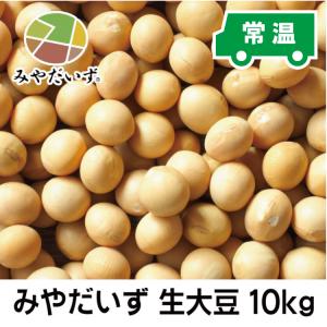 大豆 国産　みやだいず 生大豆10kg　R３年産宮崎県産大豆中粒１等　乾燥大豆　在来種　