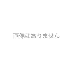 ターナー アクリルガッシュ パールシリーズ 20ml 6色セット [02]｜daliha