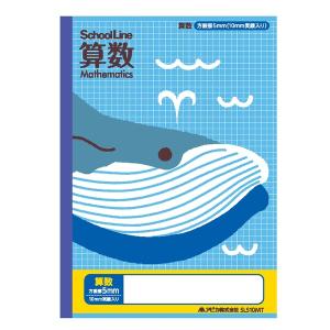 国語 】【 B5判 こくご18マス 中心リーダー入 】アピカ スクールキッズ