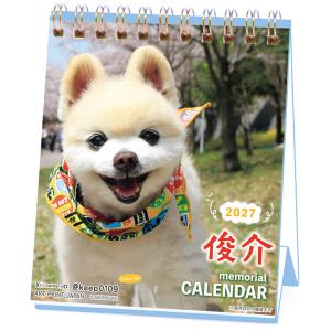 【2027年版】 カレンダー 卓上 1月始まり 週間 日曜 書き込み 俊介 ポメラニアン 写真 かわいい アートプリントジャパン [01]