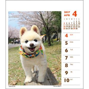 【2027年版】 カレンダー 卓上 1月始まり...の詳細画像2