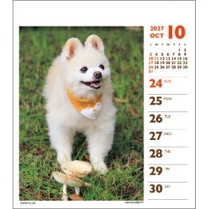【2027年版】 カレンダー 卓上 1月始まり...の詳細画像4