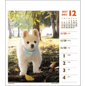 【2027年版】 カレンダー 卓上 1月始まり...の詳細画像5