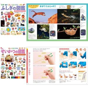 小学館 図鑑NEO プレNEO 11冊セット ...の詳細画像5