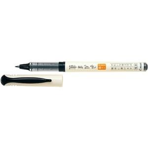 パイロット　万年筆　ペン習字ペン 5本セット　新品未使用 パイロット ペン習字ペン : 萬屋本舗 - 通販 - Yahoo!ショッピング