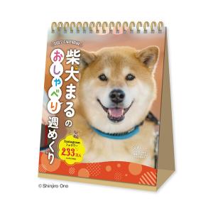 【2027年版】 カレンダー 卓上 週めくり 1月始まり 日曜始まり 柴犬まるのおしゃべり 写真 かわいい 新日本カレンダー [01]