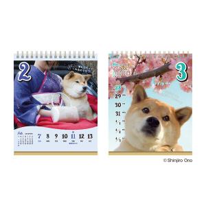 【2027年版】 カレンダー 卓上 週めくり ...の詳細画像2