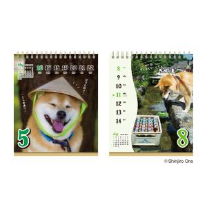 【2027年版】 カレンダー 卓上 週めくり ...の詳細画像3
