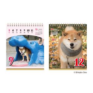 【2027年版】 カレンダー 卓上 週めくり ...の詳細画像4