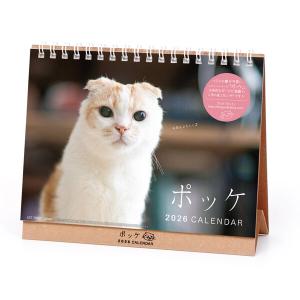 東京アカデミー オープンセサミシリーズ 看護学1〜5 2024年合格