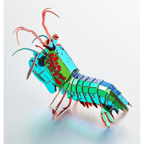 立体 ペーパークラフト ウラノ 海の生き物 模型 3D立体ペーパーパズル モンハナシャコ　（送料無料...