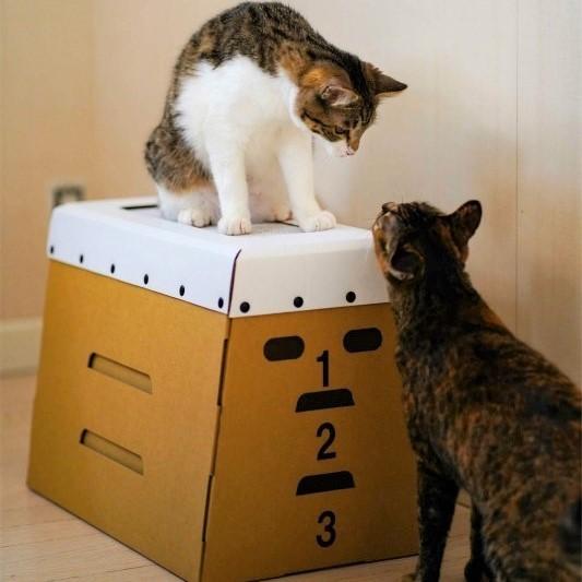 とんで ミルにゃん！ 猫用爪とぎ・とびばこ型ハウスの商品写真