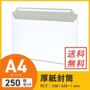 （開封ジッパー付き） 238 × 328 × 深さ 1 mm 250枚セットの商品画像