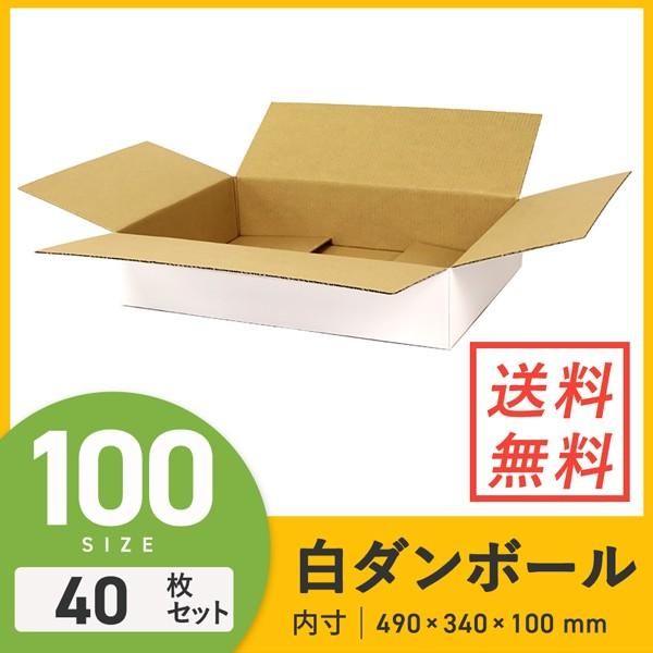 ダンボール （段ボール箱） 薄型（白） 宅配100サイズ 【490 × 340 × 深さ 100 m...