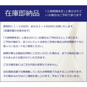 Ads Dance 社交ダンスシューズ ads...の詳細画像5