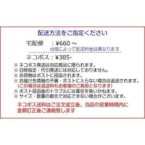 ナンワ インナーソール 外反母趾用 社交ダンス...の詳細画像4