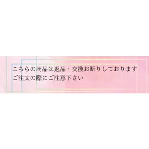 タカダンス カラーフィットショーツ LU02 ...の詳細画像3