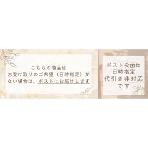 タカダンス カラーフィットショーツ LU02 ...の詳細画像4