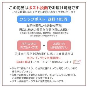【ポスト投函可能】 Kentdance ネット...の詳細画像3