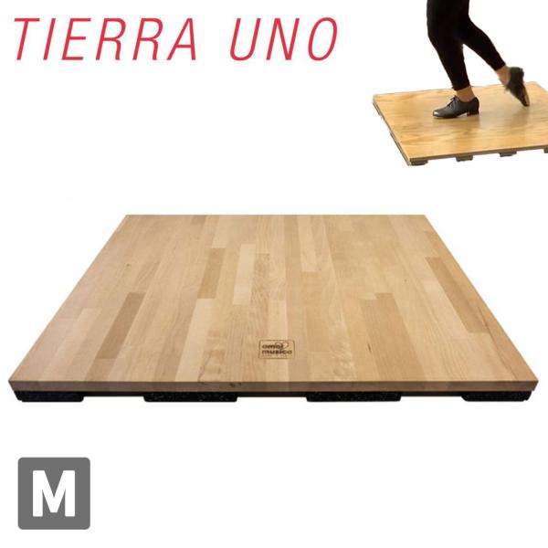 TIERRA UNO(ティエラウノ) ダンストレーニングボード  Mサイズ STEPB-M メーカー...