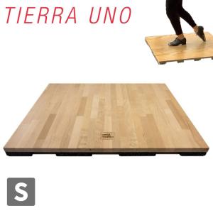 TIERRA UNO(ティエラウノ) ダンストレーニングボード  Sサイズ STEPB-S メーカー直送品｜dance-nets