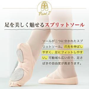 バレエシューズ スプリットソール キャンバス ...の詳細画像3