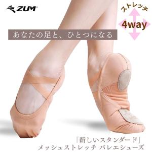 【サイズ交換無料】バレエシューズ メッシュスト...の詳細画像1