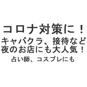 フェイスベール2 付けるだけでアラビアンな雰囲...の詳細画像2