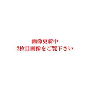 パラソルヘルスケア無香料　イヤーパウダー　20g【犬猫用】【耳ケア】｜dandc