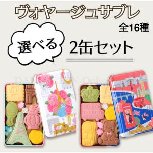 サブレミシェル ヴォヤージュサブレ ショッパー付き 箱入対応 サブレ