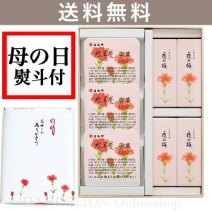 母の日 とらや 羊羹・水羊羹詰合せ 1号 限定パッケージ 虎屋の羊羹 羊羹 詰め合わせ 熨斗対応 ギフト